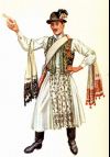 VŐFÉLY KERESTETIK – ARNÓTON