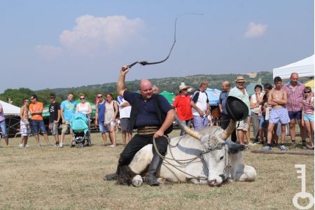 [0_960] IMG_6189[1].JPG